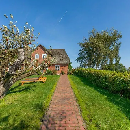 Frisian With Views Near The Wadden Sea *