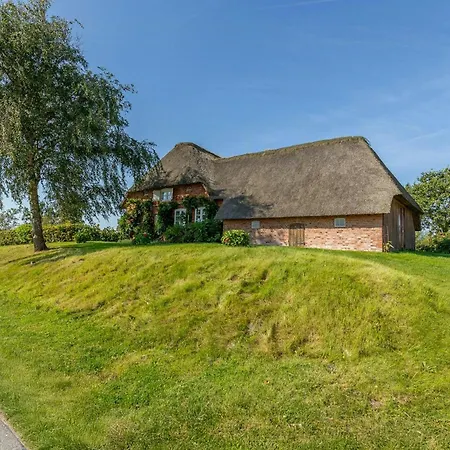 Frisian With Views Near The Wadden Sea * Klanxbull